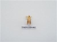 藏品(尺蠖蛾科)的圖片